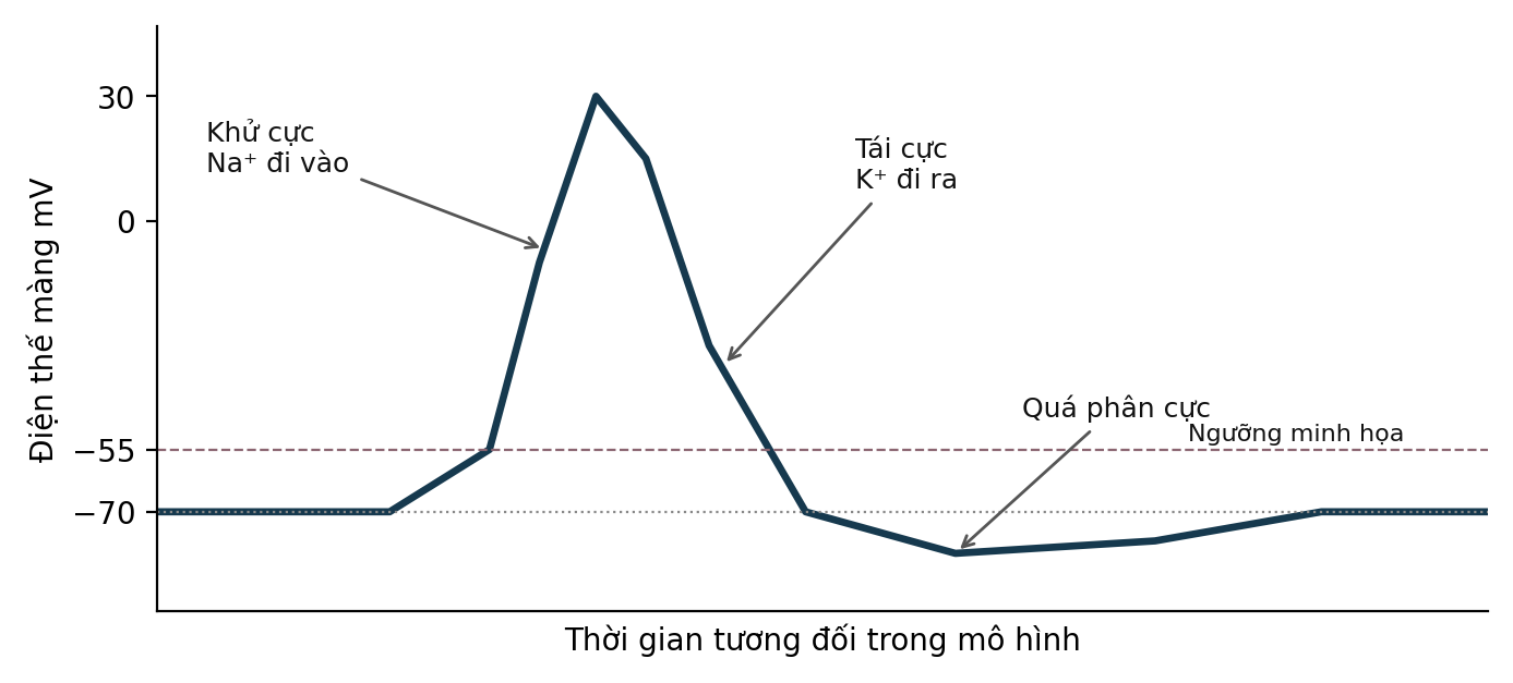 Hình trong Thần kinh cấp cao