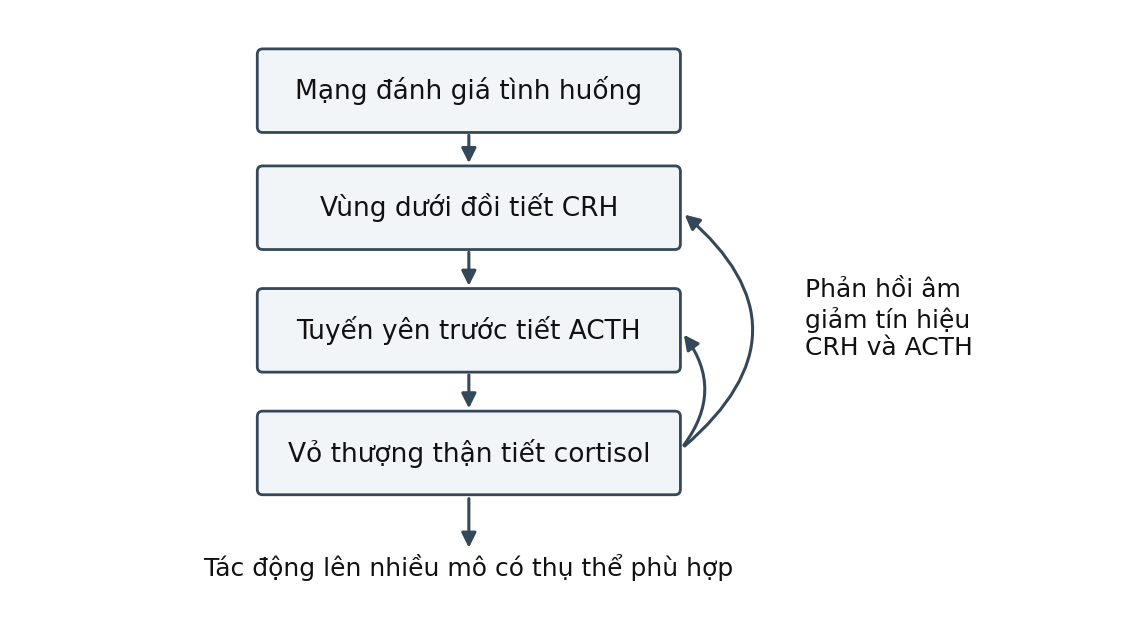 Hình trong Thần kinh cấp cao