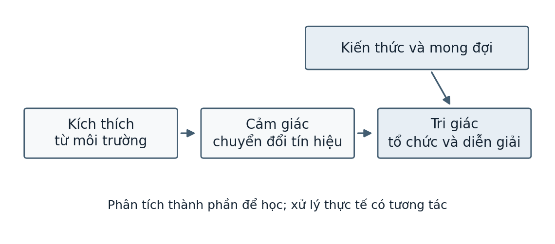 Hình trong Tâm lý học đại cương