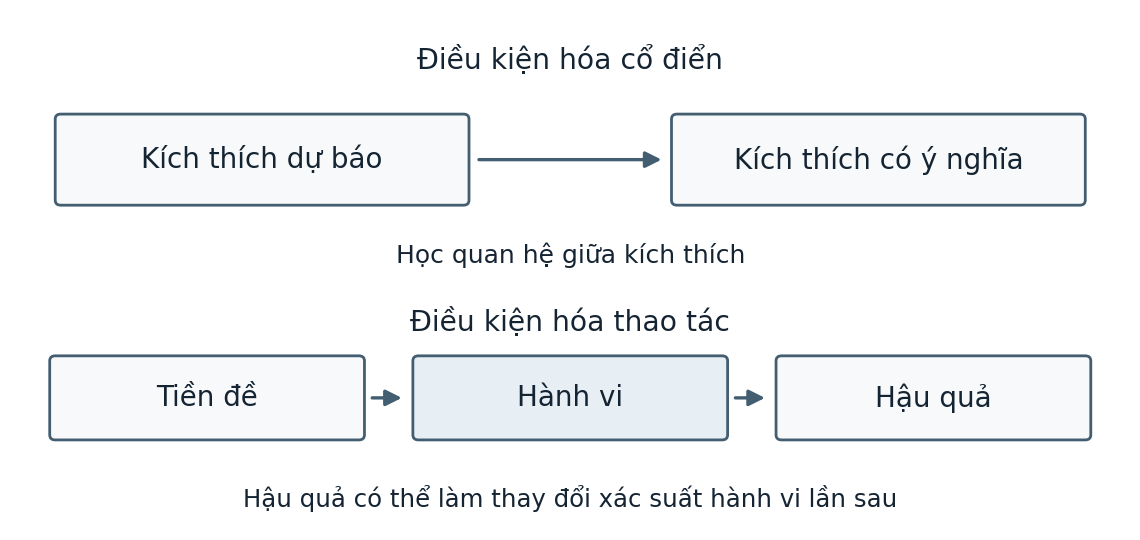 Hình trong Tâm lý học đại cương