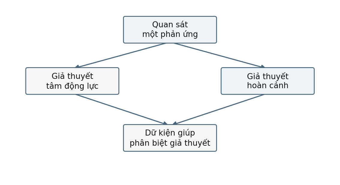 Hình trong Tâm lý học nhân cách