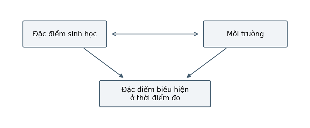 Hình trong Tâm lý học phát triển