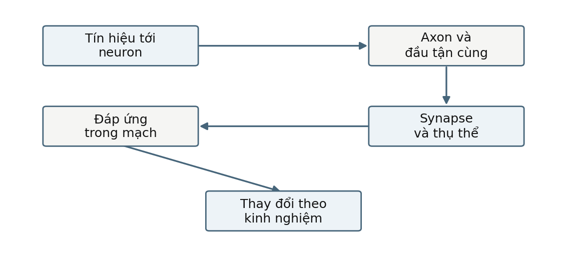 Hình trong Tâm lý học thần kinh